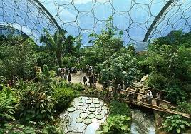 Gardens by the bay singapore. 17 Garden Eden Project Ideas Eden Project Eden Saint Austell