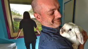 Therapy rabbit used to help teenage addicts withdraw from drug and alcohol  at Footscray Hospital