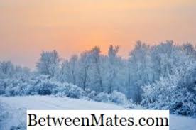 Gugur kerana sudah masak (buahbuahan), gugur kerana sampai masanya (daun, bulu, dll); Perbezaan Antara Musim Sejuk Dan Musim Bunga 2021 Sains Alam