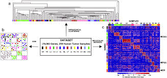 Saint louis, mosan jose, camilpitas. Multiclass Cancer Diagnosis Using Tumor Gene Expression Signatures Pnas