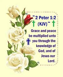 Pin On God S Love Never Fails