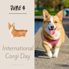 For me, a house or an apartment becomes a home when you add one set of four legs, a happy tail, and that indescribable measure of love that we call a dog. International Corgi Day 2022 Eventlas