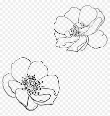 We did not find results for: Rose Wild Flower Flowers Png Image Vector Flower Outline Png Clipart 2636019 Pikpng