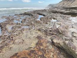 An Ancient Cycle Of Erosion Carves The Beach The