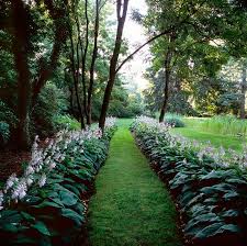 The New American Garden The Landscape Architecture Of Oehme Van Sweden The Cultural Landscape F Landscape Design Landscape Architecture Backyard Landscaping