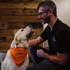 Pet visits, for most pet parents, can be a nightmare. Forth Valley Vet Clinic