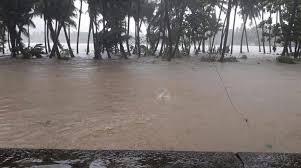 Cyclone burevi's projected movement brings back memories of cyclone ockhi, which also formed over the bay of bengal in november 2017, passed southern sri lanka, and then skirted the southernmost districts of tamil nadu and kerala. Cyclone Ockhi 102 Kerala Fishermen Yet To Return Home
