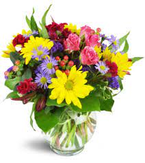 Find & download free graphic resources for viola flower. Great Falls Mt Florist Same Day Flower Delivery In Great Falls Mt My Viola Floral Studio