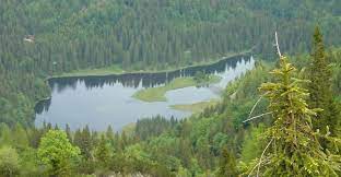 Schlosstaverne lunz finden sie in lunz am see unter der adresse seehof 2, nur 3.3 km vom zentrum entfernt. Das 3 Seen Erlebnis Lunzer See Mittersee Obersee Bergfex Wanderung Tour Niederosterreich