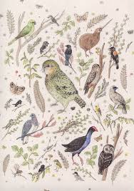 New Zealand Birds And Animals Bird Illustration Bird Art Animal Art