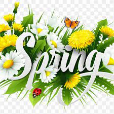 Spring is an intermediate seasonal phase in between winter and summer. 5 Health Benefits Of Spring Season My Diet Counsellor Podcast Co