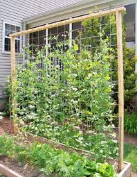 25 Beautiful Diy Trellis For Small Garden Beautiful Garden Small Trellis Gardenplanningvegetable Diy Garden Trellis Diy Trellis Vegetable Garden Design