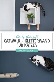 Catwalk Kletterwand Fur Katzen Diy Katzen Kletterwand Kletterwand Katzenregale
