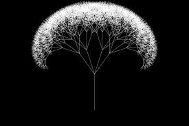 Image result for L systems