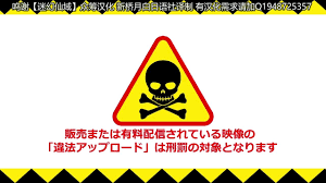 FemCorruption] The Consequence Of Being A Rentboy 2 - CamWhores