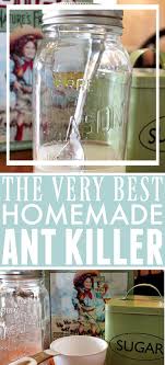For over a century people have been using boric acid or borax (a laundry booster related to boric acid, but slightly milder) to kill and control ants. The Very Best Homemade Natural Ant Killer The Creek Line House