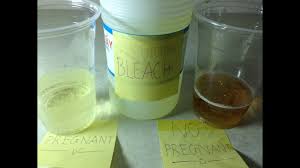 bleach pregnancy test positive vs