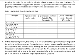 Solved For Each Of The E.Coli Strains Shown Below, Indicate | Chegg.Com