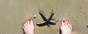 Mar 21, 2021 · librivox about. Shannon Bream S Feet Wikifeet