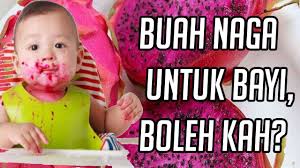 Selain itu, buah ini mengandung zat besi, kalsium, dan kaya akan serat. 10 Manfaat Buah Naga Untuk Bayi Blog Birds Bees
