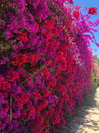 Find great deals on ebay for artificial flowers outdoor. When You Use Fake Flowers In Your Garden Terrace Or Window Box It Allows You To Pick Your Favourite Flowers At Any Time Of The Year Irrespective Of The Season