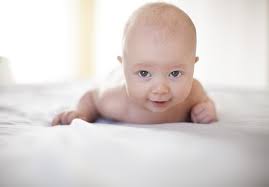 panettone bread pudding