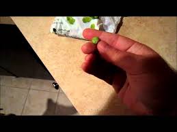 Feeding Peas To Fish Digestive Tract Regulator Youtube