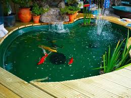Koi Fish Pond Design Indoor Pond Pond Design Ponds Backyard