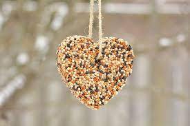 These Birdseed Ornaments Are So Easy And They Look Gorgeous On The Trees Outside T Bird Seed Ornaments Bird Seed Ornaments Recipe Christmas Ornaments Homemade
