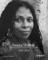 Tracee Ellis Ross and her mini me, Arica Himmel, are legit #Twinning!  http://ow.ly/U3oH50vq08I #Mixedish