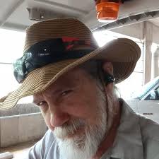 Amazon.com: Rising Sun Reruns: Memories of Japanese TV Shows from Today's  Grown-Up Kids (Memories from Today's Grown-Up Kids) eBook : Beard, Jim,  Bruening, John , Porter, Alan, Morris, Brian, Rainey, Stephen, Greenberger,