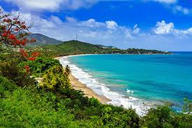 Kleid mit überlappendem kragen, rüschen, laternenärmeln und punkten muster. Puerto Rico Best Time To Visit Puerto Rico Planetware Puerto Rico Which Has Experienced Unusual Seismic Activity Since Late December Was Hit By A Pair Of Earthquakes Early