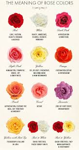 Flower Meanings Flowers Color Number Meaning Rose Color Meanings Flower Meanings Language Of Flowers