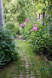 Jardin De Mme Payoux Thomas Dupaigne Photographe De Jardins Jardins Jardin Naturel Beaux Jardins