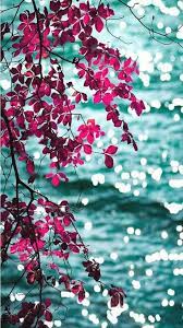 Nature Wallpaper Nature Wallpaper Hd Nature Wallpaper Mobile Nature Wallpaper Android Nature W Beautiful Wallpapers Nature Wallpaper Beautiful Nature Wallpaper