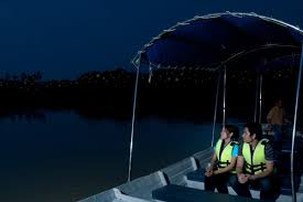 Kuala sepetang eco tourism fireflies, dolphin, fishing , charcoal , bird sighting, mangrove tour and nature call khairul 012 5145023. Firefly Tour Dapatkan Tiket Diskaun Anda Di Sini