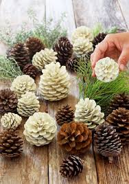 Easiest 5 Minute Bleached Pinecones Without Bleach Easy Christmas Decorations Pine Cone Crafts Cones Crafts