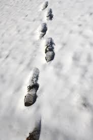 Is Your Security System Making Some Footprints In The Snow Around Your Home To Make It Look Like You Are Home When On Vacation You Are Home Snow Home Security