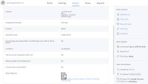 job application form in wordpress