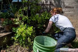 We were able to do these spots for under $10k total. Home Gardening Blooms Around The World During Coronavirus Lockdowns Reuters Com