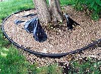 We did not find results for: Don T Install Plastic Landscape Edging Improperly Renegade Gardener