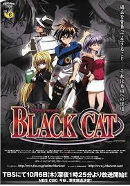 超希少 BLACK CAT DVD宣伝ポスター-