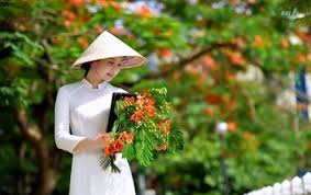 Image result for mùa hạ