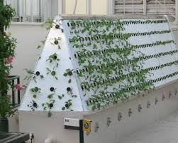 They have regular timers, with 10 minute intervals. Aeroponics System Information For Beginners Agri Farming