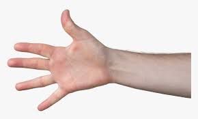 Transparent Grabbing Hand Png Reaching Hand Png Png Download Transparent Png Image Pngitem Please to search on seekpng.com. transparent grabbing hand png