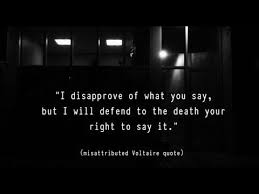 Youtube Voltaire Quotes How Are You Feeling Truth