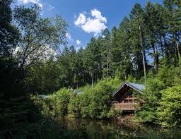 Maybe you would like to learn more about one of these? Cabin On The Millpond At Deerpark Cornwall Forestretreat Ukgetaway Summer Deerpark Log Cabins Lod Log Cabin Holidays Woodland Lodges Holidays In Cornwall