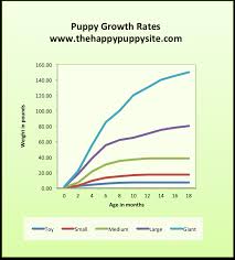 Our boxer puppy weight calculator is meant for use solely as an estimation tool for the weight of one boxer. Puppy Development Stages With Growth Charts And Week By Week Guide