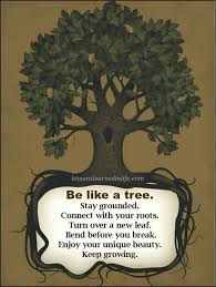 Get inspired with these great life quotes. Bible Quotes About Planting Trees New Quotes