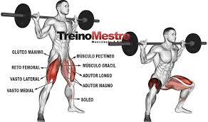 agachamento sumo musculos trabalhados e execucao correta treino mestre agachamento sumo agachamento treino de agachamento